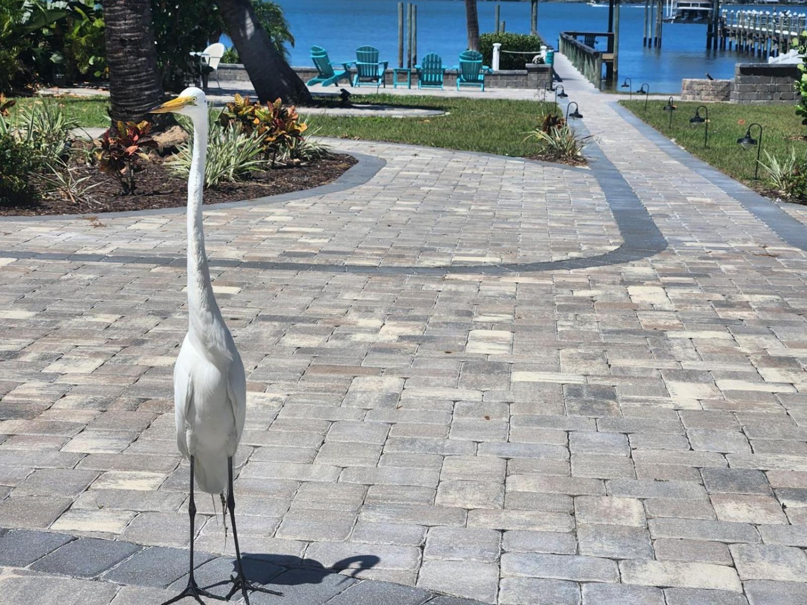 Paradise Cove On Lemon Bay Apartment Englewood Bagian luar foto